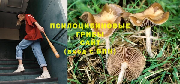 твердый Белоозёрский