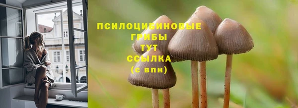 твердый Белоозёрский