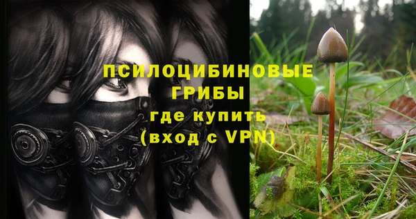 ешки Беломорск
