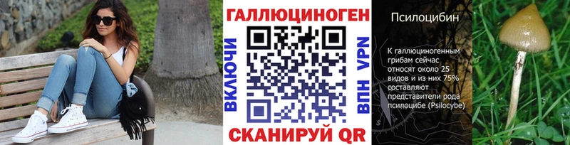 Купить закладки  Межгорье  Галлюциногенные грибы Magic Shrooms 